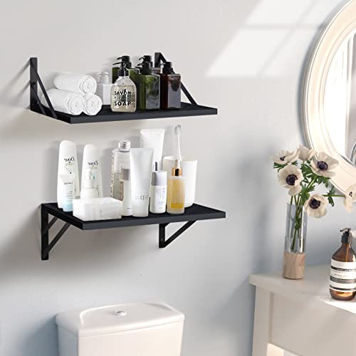 Tectocker-DOU 2 Pc Deep Floating Wall Shelves, Heavy Duty, 16x12, Black | Easy Install, All Hardware Included. Holds 40 Lbs. Easy-Clean. For Living Room, Kitchen, Bathroom, Bedroom, Office. - color: Black, size: 16W×12D