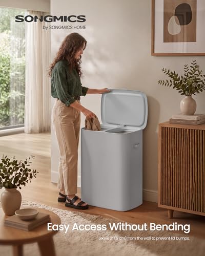 SONGMICS Laundry Basket with Lid, 42.2 Gallons, 2-Compartment Laundry Hamper with Handle, Removable Liner, Easy Assembly, 22 x 15.7 x 27.5 Inches, Dove Gray ULCB822G101 - color: Dove Gray