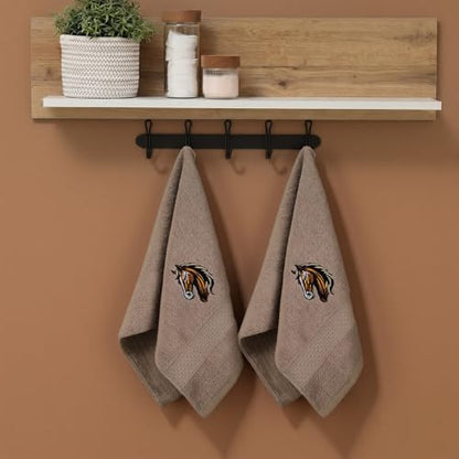 SmoothNovelty 2 Pcs Horse Hand Towels Brown Bathroom Decor 14x29 Inch Embroidered 100% Cotton Soft Absorbent Spring Summer Decorative Hand Towels for Bathroom Kitchen - style: Horse