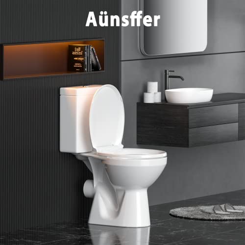 Toilet Seat Black Round,with Quick Release Screw, Soft Close, Never Loosen, No Slam