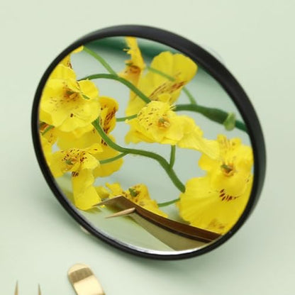 10x Magnifying Cosmetic Mirror 3pcs Set with Double Suction Cups Portable Compact Makeup Mirror for Travel and Personal Care