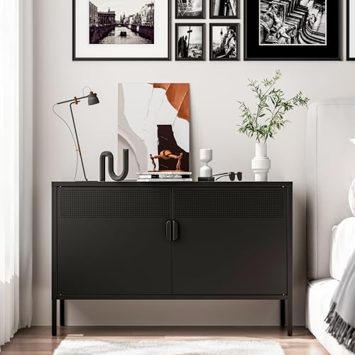 Washsemba 2 Door Storage Sideboard, Metal Storage Cabinet with 2 Adjustable Shelf,Multipurpose Metal Accent Cabinet for Office Home,Music Studio (Black, 25''H) - color: Black, size: 25''H