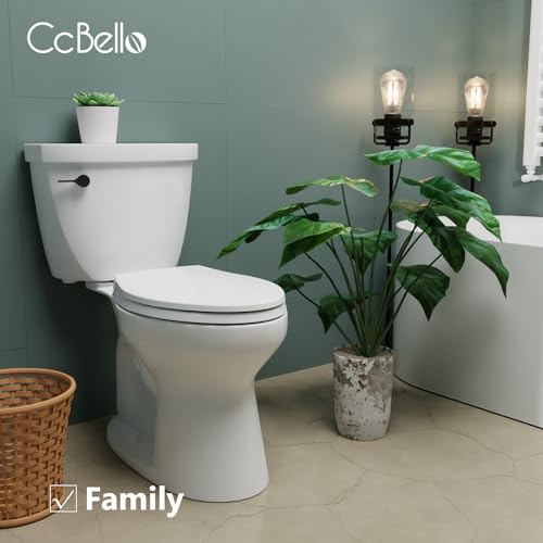 Slow Close Toilet Seat, Fit Round and Standard Toilets, Quick Release Hinges for Easy Clean, Two Mounting Options for Easy Installing, Heavy Duty, Never Loosen, White - size: Round