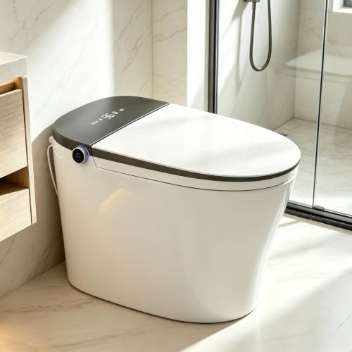 TOTTE Smart Toilet Bidet with Bidet Built-in, Auto Open/Close,1000 Gram MaP Flush Score, Foam Dispenser, Comfort Height, Dryer, Auto Flush, Heated Seat, One Piece Elongated Toilet, 949B Grey - color: 949B Grey
