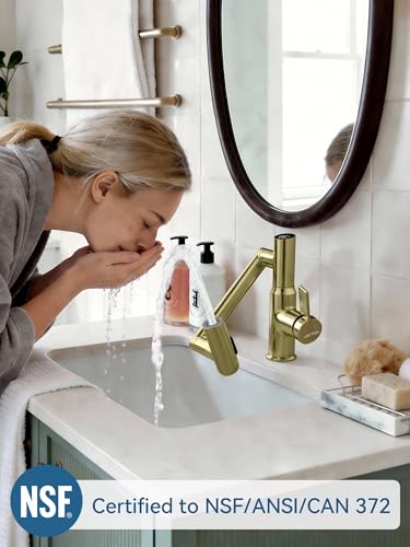 Rotatable Bathroom Faucet with Temperature Display in Fahrenheit (Batteries-Free), 3 Water Outlet Modes, Polished Gold, BF2204-5 - color: Polished Gold