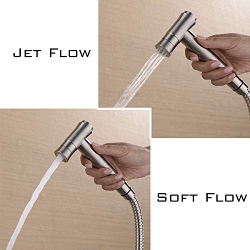 TRUSTMI Toilet Concealed Hot and Cold Bidet Spray Set,Brushed Nickel | Brass Rough-In Wall Mount,Thumb-Free Push Button Hand Held Sprayer Head, 2 Function - color: Brushed Nickel