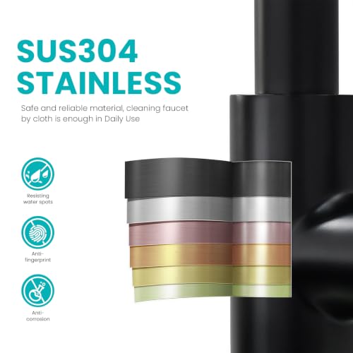Kitchen Faucet with Pull Down sparyer,Leak Proof, Matte Black | 304 Stainless Steel,10-Min DIY Install,23-Inch Pull-Down Hose,2-Function Spray,360° Swivel Spout - color: Matte Black, size: 15.2 Inches