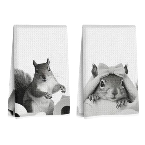 Funny Squirrel Decor Bathroom Kitchen Hand Towels Gifts, Gifts for Women | Cute Animal Decorative Hand Towels for Bathroom Washroom Restroom, 2Pcs, Birthdays, Christmas, Party Gifts - color: Cute Bathroom Squirrel