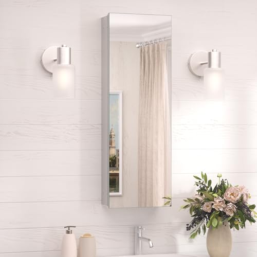 TokeShimi 12 x 36 Farmhouse Medicine Cabinet Recessed or Surface Mount Aluminum, Mirror with Stepless Adjustable Storage, Silver Bathroom Mirror Medicine Cabinet Frameless Metal Modern - color: Silver, size: 12x36 in