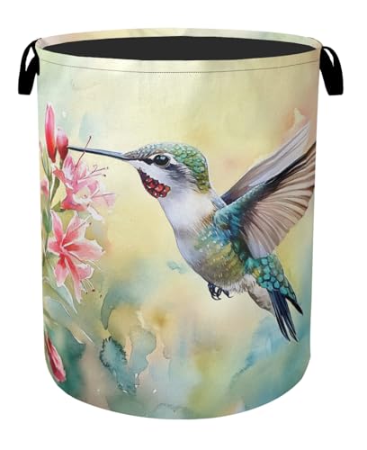 Summer Hummingbird Laundry Basket with Handles - Extra Large Foldable Hamper for Bathroom/Laundry/Bedroom/Dorm, Washable Fabric Storage Bin - color: Summer Hummingbird