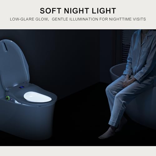 Electric Bidet Toilet Seat, Heated Toilet Seat, Elongated White | Warm Water Wash, Warm Air Dryer, Self-Cleaning Nozzle, Wireless Remote, LED Night Light, Soft-Close Lid, Easy Install - style: Remote – Classic