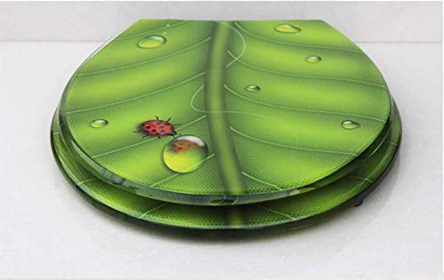 Toilet Seat with Cover, Quick-Release for Easy Cleaning(E) - color: E
