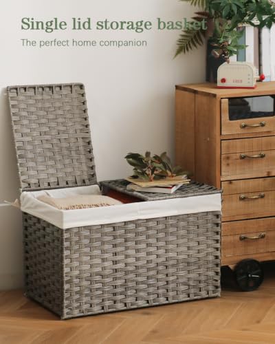 SETVSON Storage Basket with Lid PE Rattan 27.8 Gal Wicker Chest, Gray | 105L Woven Wicker Baskets with 2 Separate Lids, 2 Removable, washable linings, Sturdy Iron Frame, 25.2 x 15.4 x 16.1 Inches - color: Gray, size: 105L-25.2L*15.4W*16.1H