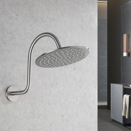 RANDOM S Shaped Shower Head Riser Pipe,Goose Neck Shower Arm 13 Inch Shower Head Extension Arm with Flange,Standard 1/2" Connection,Brushed Nickel.RD-91098-13BN - color: Brushed Nickel