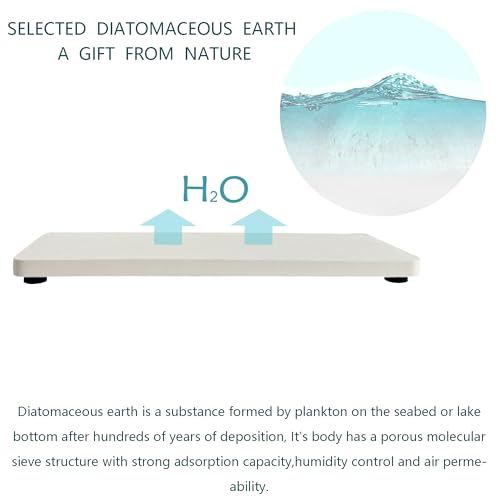 NiuYichee 2-PCS Diatomite Soap Tray, Quick-Drying Water Absorbent Stone, Bathroom Sink Soap Holder, White, 8.66 x 3.15 Inches