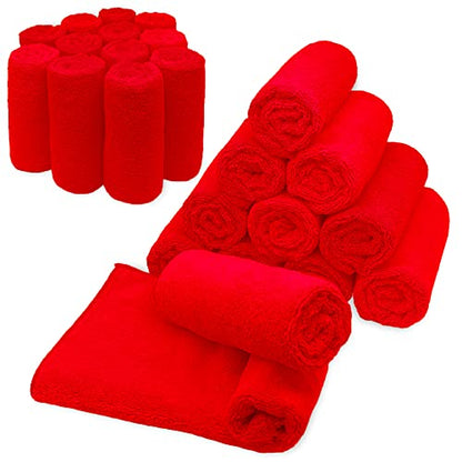 Blue Horizon Microfiber Cleaning Towels, Pack of 24, Ultra Soft Plush Washcloth, All Purpose Premium Microfiber Detailing Cleaning Cloths Reusable Shop Towels (16" x 16", Red) - color: Red