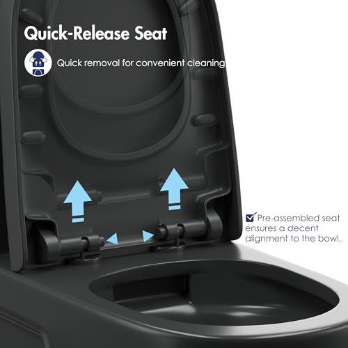 One Piece Toilet Elongated Dual Flush, 17.3" ADA Seat, Matte Black | ADA Compliant 17.3" chair height with soft close seat, Dual flush 1.1/1.6 GPF Elongated toilet bowl 12" rough-in, Matte Black - color: Matte Black 365Model