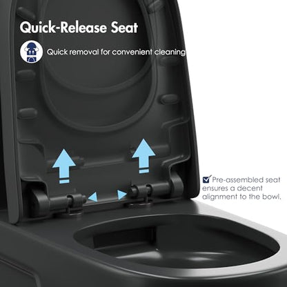One Piece Toilet Elongated Dual Flush, 17.3" ADA Seat, Matte Black | ADA Compliant 17.3" chair height with soft close seat, Dual flush 1.1/1.6 GPF Elongated toilet bowl 12" rough-in, Matte Black - color: Matte Black 365Model