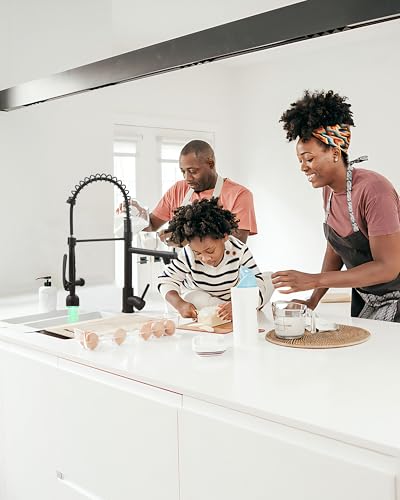 Fapully Black Kitchen Faucet with Pull Down Sprayer,Commercial LED Kitchen Faucet,Single Handle Single Hole Kitchen Sink Faucets - color: Matte Black, style: Modern