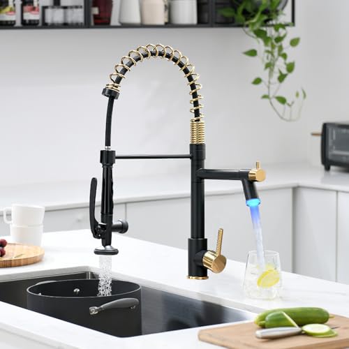 Fapully LED Kitchen Faucet with Pull Down Sprayer,Black&Gold | Commercial Kitchen Faucet for Kitchen Sink - color: Black&Gold, style: Modern