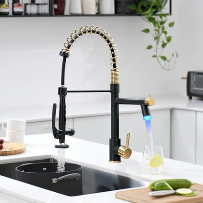 Fapully LED Kitchen Faucet with Pull Down Sprayer,Black&Gold | Commercial Kitchen Faucet for Kitchen Sink - color: Black&Gold, style: Modern