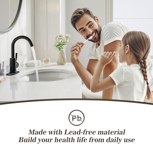 Single Hole Matte Black Single-Handle High-Arc Stainless Steel Faucet for Pre-Kitchen Sink/Bar Sink/Bathroom Sink, with 4 Inch Deck Plate and Supply Hoses, Matte Black, WE08E-MB - color: Matte Black
