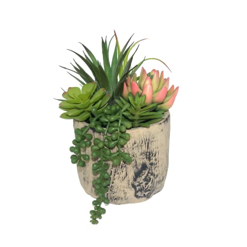 Succulents Plants Artificial, Faux Succulent Plants in Elegant Ceramic Pot Assorted Faux Potted Succulent Plant for Home Living Rooms Bedroom Décor (7.9)