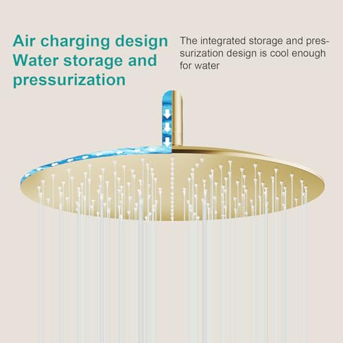 All Metal Rain Shower Head - Heavy Duty Stainless Steel, Easy Install, High Water Flow, Ultra-Thin Modern Design for Bathroom (F-Brushed Gold, 16) - color: Brushed Gold, size: 16