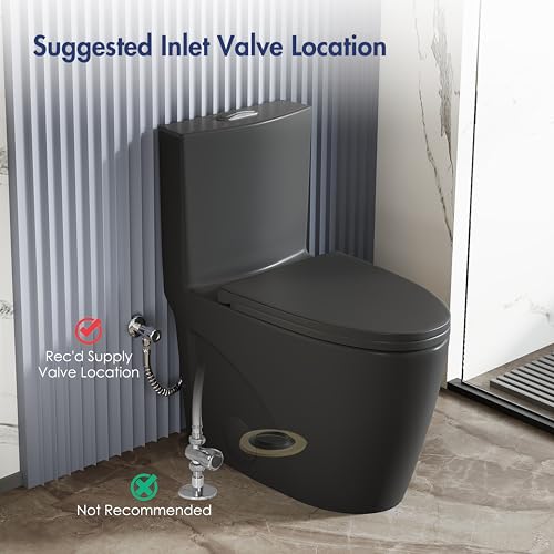 Elongated One Piece Toilet, Dual Flush 1.1/1.6 GPF, Matte Black | ADA Compliant 17" chair height bowl, Powerful siphon dual flush, 12" rough-in, comfort soft closing seat, Matte black toilet - color: Matte Black