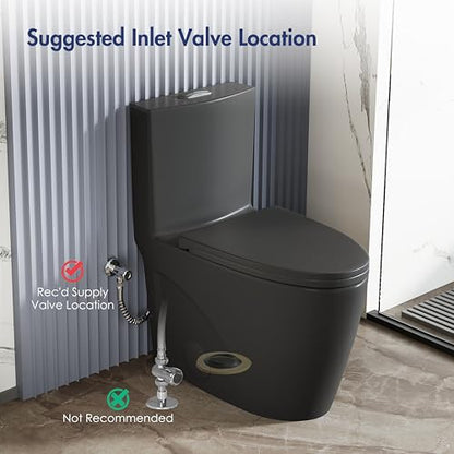 Elongated One Piece Toilet, Dual Flush 1.1/1.6 GPF, Matte Black | ADA Compliant 17" chair height bowl, Powerful siphon dual flush, 12" rough-in, comfort soft closing seat, Matte black toilet - color: Matte Black