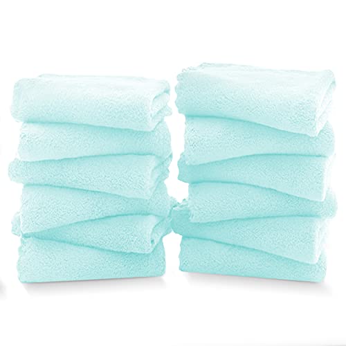 TENSTARS 12 Pack Premium Washcloths Set - Quick Drying- Soft Microfiber Coral Velvet Highly Absorbent Wash Clothes - Multipurpose Use as Bath, Spa, Facial, Fingertip Towel (Frozen Blue) - color: Frozen Blue, size: 12 Piece Washcloths