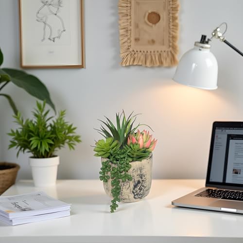 Succulents Plants Artificial, Faux Succulent Plants in Elegant Ceramic Pot Assorted Faux Potted Succulent Plant for Home Living Rooms Bedroom Décor (7.9)