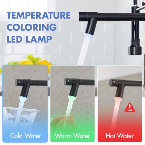 AIMADI Kitchen Faucet,Black Kitchen Faucet,Commercial Pull Down Sprayer | Single Handle Single Hole Spring Kitchen Sink Faucet,Matte Black - color: Matte Black, style: with LED Sprayer
