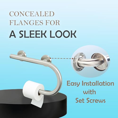 Grab Bar Toilet Paper Holder - Bathroom Safety Aid/304 Stainless Steel/Right/Brush Finish/16.5"x 10" - color: Brushed Stainless Steel, Right Hand