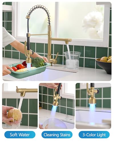 Fapully High Arc Brushed Gold Pull-Down Kitchen Faucet with LED Sprayer | Kitchen Sink Faucets with Pull Down Sprayer,Dual Spray Modes, Commercial Grade,Single Handle Single Hole Design - color: Brushed Gold, style: Modern