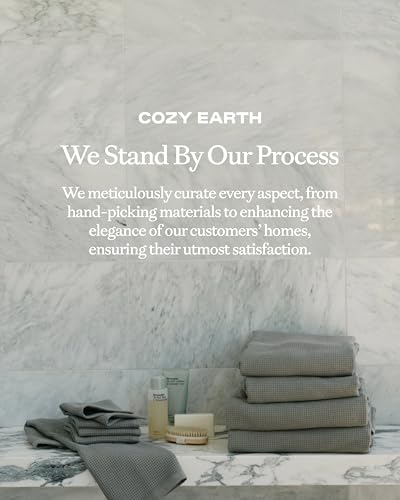 Cozy Earth Waffle Bath Sheets, Mini Textured Waffle Weave Pattern | 60% Cotton 40% Viscose from Bamboo Bath Sheets 40 x 65 Inches, Soft and Absorbent Terry, 2 Pack Light Grey - color: Light Grey, size: Bath Sheet