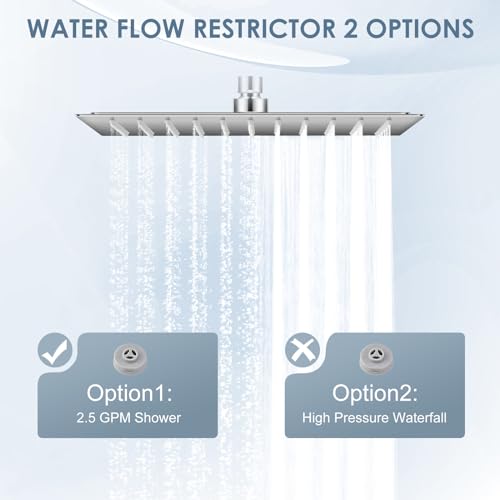 10 Inch Rain Shower Head Chrome - Square Rainfall Shower head All Metal Stainless Steel 304, Ultra Thin Design, Full Body Coverage Bath Shower - color: A-Chrome Polished, size: 10 Inch Square