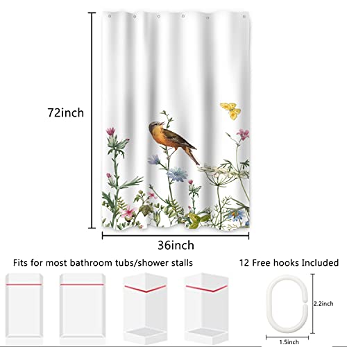 AWERT Small Half Size Stall Shower Curtain with 6 Hooks Funny Bird Shower Stall Curtain for Bathroom/RV and Camper (Bird) 36x72 inch - color: Bird, size: 36"W x 72"L (Pack of 1)