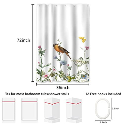 AWERT Small Half Size Stall Shower Curtain with 6 Hooks Funny Bird Shower Stall Curtain for Bathroom/RV and Camper (Bird) 36x72 inch - color: Bird, size: 36"W x 72"L (Pack of 1)