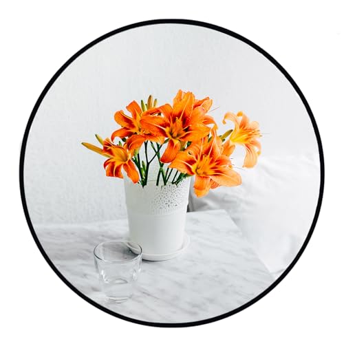 Small Round Mirror, 16 inch Circle Mirror, Matte Black Metal Frame | High Definition, Waterproof, Rust-resistant, Circular Wall Mirrors for Bathroom, Bedroom, Vanity, Nursery, Kids, Wall Décor - color: Black, size: 16"L x 16"W