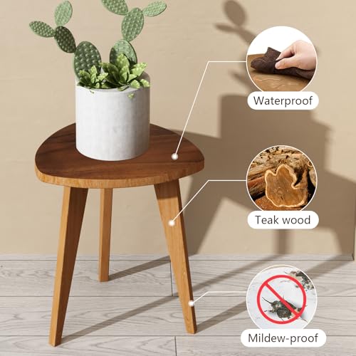 Teak Shower Stool and Foot Rest, Solid Wood Stool Near Bathtub, Small Stool, Plant Stool for Living Room, Bathroom, Bedroom