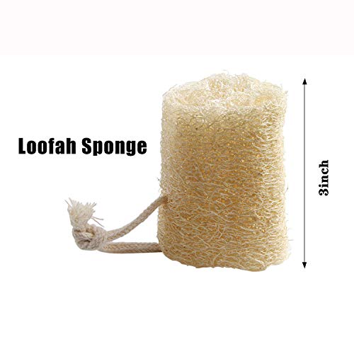 FEBSNOW Natural Loofah Body Scrubber 4Pcs Exfoliating Shower Bath Sponges | Natural Luffa Material, Women and Men Deep Clean Skincare, Exfoliating Back and Face Scrubber Pad