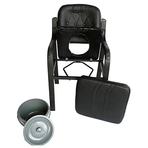 Dyale Deluxe Comfort Commode with Padded Seat Heavy Duty Bedside Commode Chair,Elderly Bathroom Safety Frame Toilet Seat
