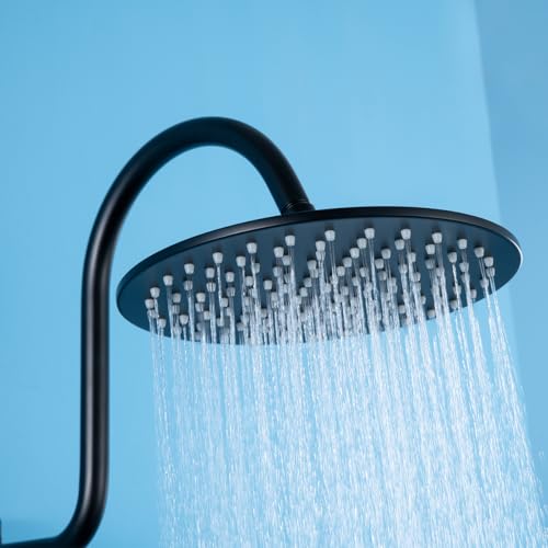 RANDOM S Shaped Shower Head Riser Pipe,Goose Neck Shower Arm 13 Inch Shower Head Extension Arm with Flange,Standard 1/2" Connection,Matte Black.RD-91098-13MB - color: Matte Black