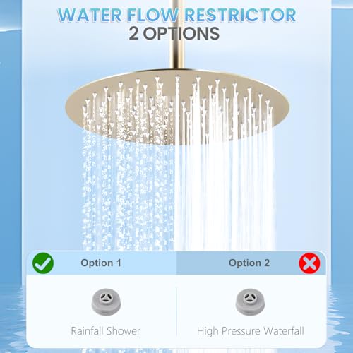12 inch Brushed Gold Rainfall Shower Head - All Metal Stainless Steel Full Body Round Rain Shower with 120 Silicone Nozzles Modern Bathroom - color: Brushed Gold, size: 12 Inch