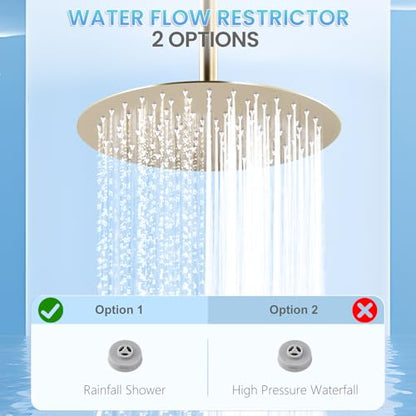 12 inch Brushed Gold Rainfall Shower Head - All Metal Stainless Steel Full Body Round Rain Shower with 120 Silicone Nozzles Modern Bathroom - color: Brushed Gold, size: 12 Inch