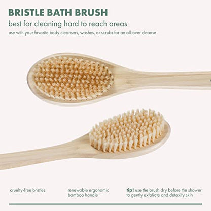 EcoTools Bath Bristle Brush, Back Scrubber for Shower with Long Handle | Smooth skin daily, body brush for showering with bamboo handle, vegan, cruelty-free, nylon bristles, back brush for shower - size: 1 Count (Pack of 1)