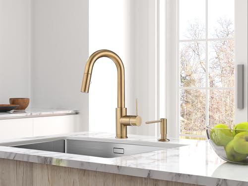 AS59CPBS Champagne Bronze Bar Faucet or Prep Kitchen Sink Faucet with Pull Down Sprayer and Single Handle - color: Champagne Bronze, style: Classic