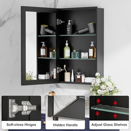 20x28 Inch Medicine Cabinet with Mirror, Aluminum Medicine Cabinet, Black | Tempered Beveled Edge Mirror Single Door, Adjustable Glass Shelves, Surface or Recessed Mount Bathroom Mirrors with Storage - size: 20 in. x 28 in.