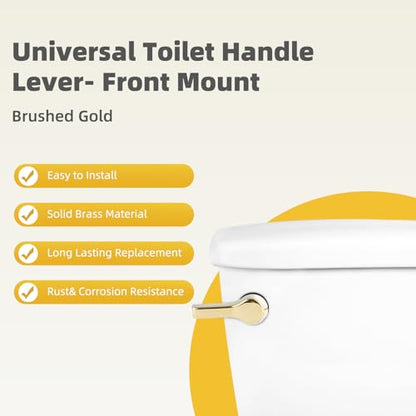 Universal Metal Shiny Gold Toilet Handle Replacement, Brass/Front Mount | Toilet Flush Handle Lever with Adjustable Stainless Steel Chain, Compatible with Kohler, American Standard, TOTO, Mansfield - color: Polished Gold, style: Front Mount Design